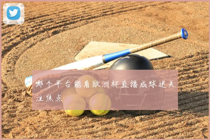 哪个平台能看欧洲杯直播成球迷关注焦点