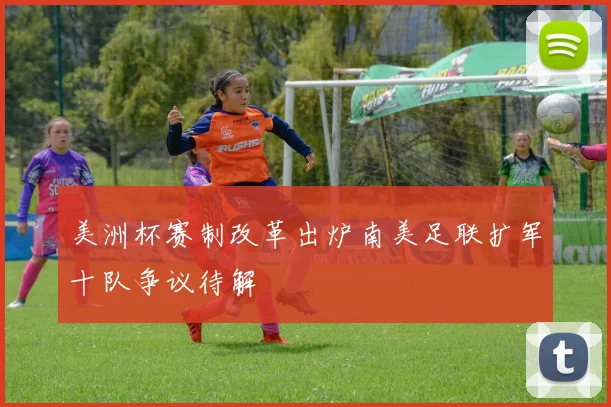 美洲杯赛制改革出炉南美足联扩军十队争议待解