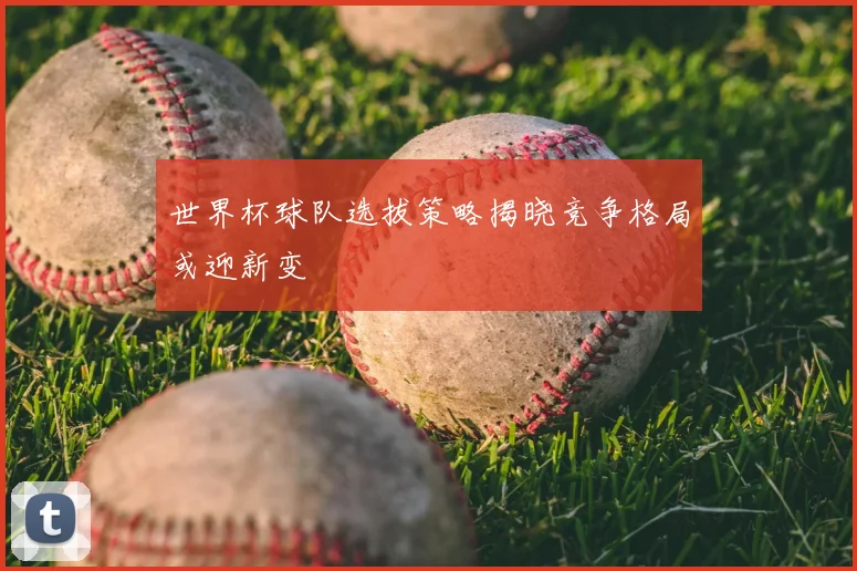世界杯球队选拔策略揭晓竞争格局或迎新变
